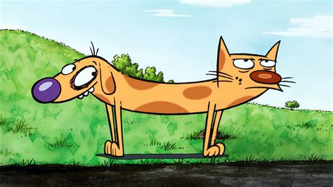 Cat Dog .